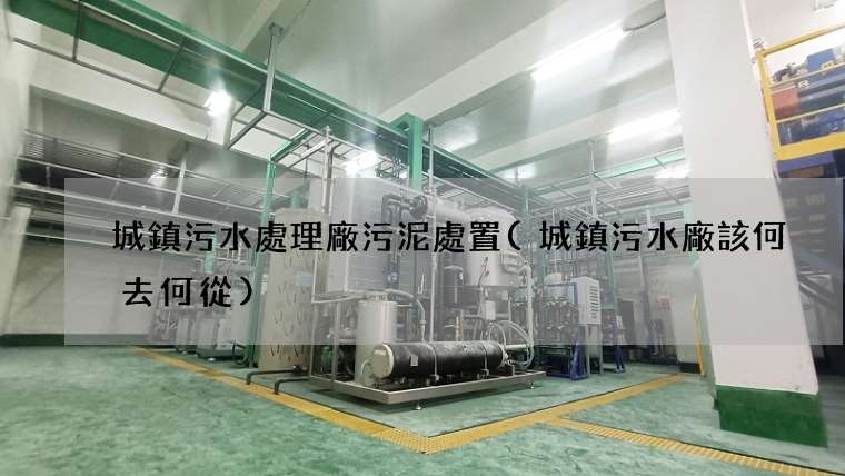 城鎮污水處理廠污泥處置(城鎮污水廠該何去何從)